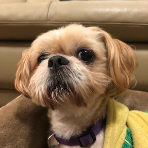 Meet your Posher, Matt